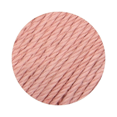 must-have - 101 rose